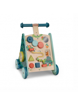 Carrello Primi Passi...