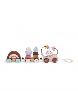 Treno Attività In Legno,...